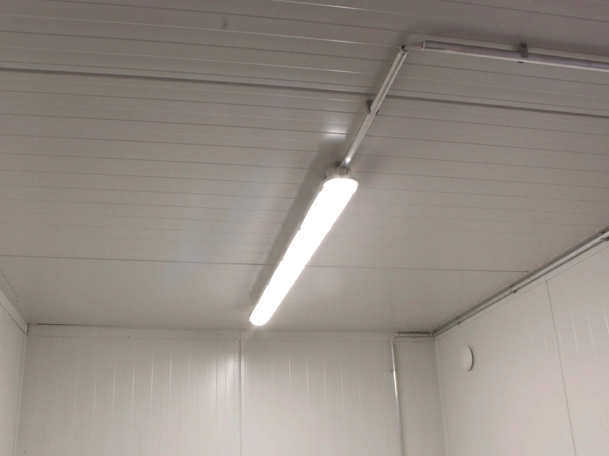 20' High Cube Insulated Container - Image 7